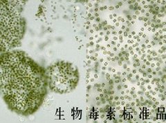 生物毒素類標準溶液-玉米赤霉烯酮-黃曲霉-微囊