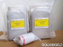 GBW07243a(GAu-9a)-化探金標準物質(zhì)